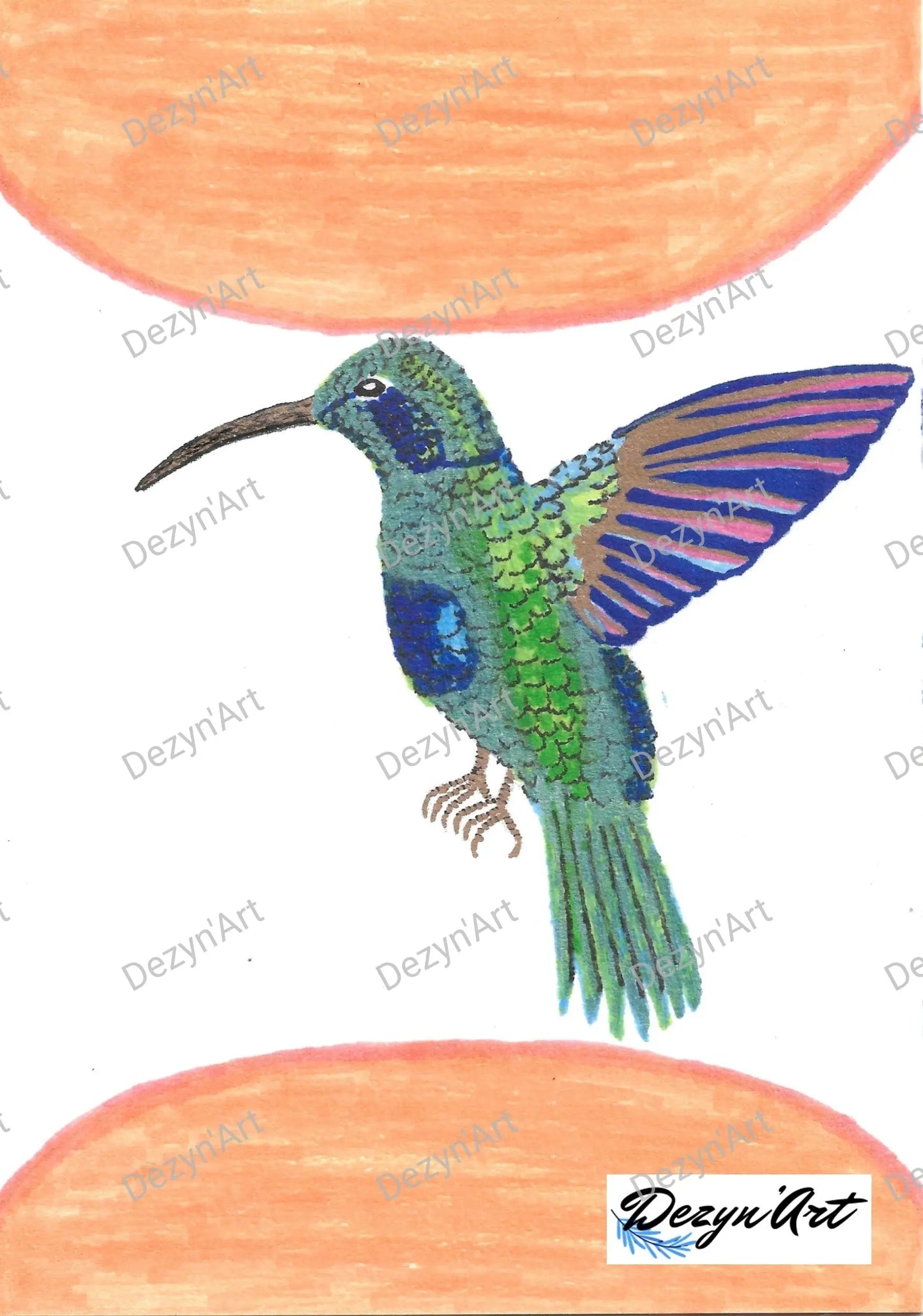 Dessin Colibri - Dessins numériques aux feutres, téléchargeables - Dezyn'Art Boutique en ligne