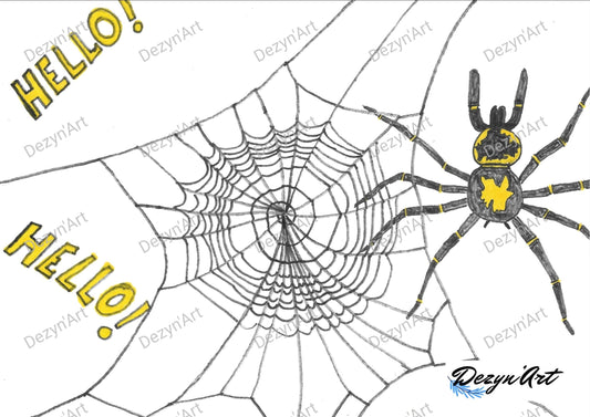 Spider and Web Drawing