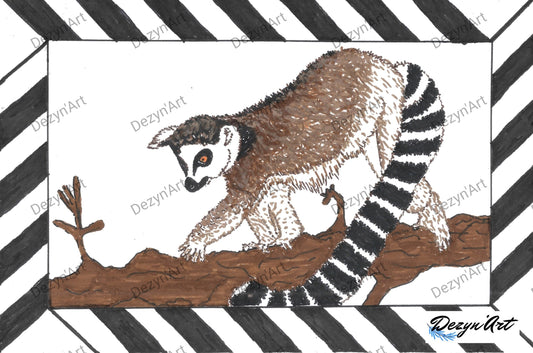 Lemur Drawing 1